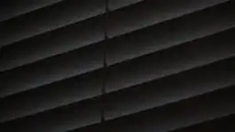 Blind Shadows